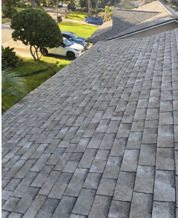 Shingle roof after soft washing in Longwood, Florida